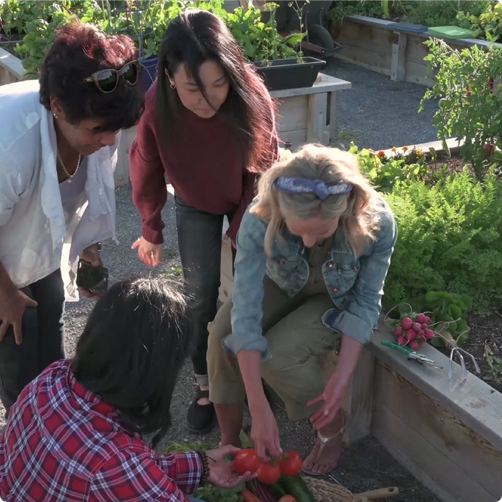FONDATION NESTLÉ FRANCE